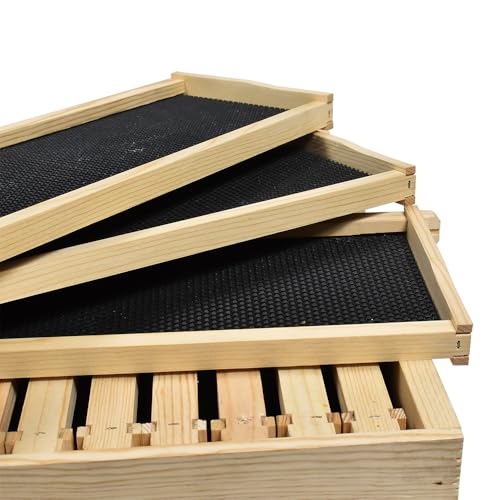 Goodland Bee Supply GL-1B-SPCR Beekeeping Beehive Brood Kit Includes Frames, Foundations, Brood Box and Spacer