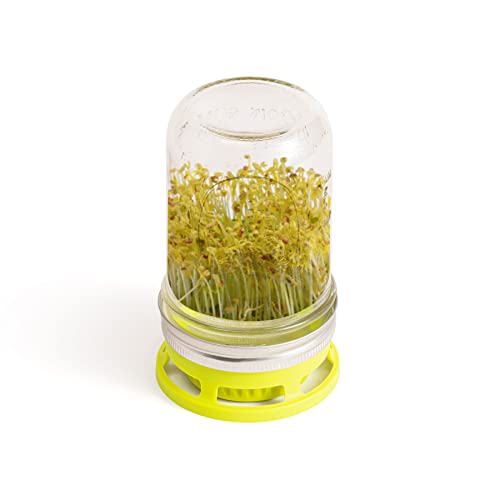 Jarware Mason Jar Lid, Seed Sprouting Lids For Wide Mouth Mason Jars, Set of 2 - size: Wide Mouth, style: Seed Sprouter