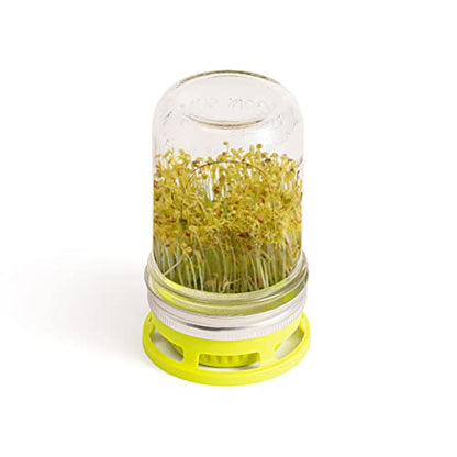 Jarware Mason Jar Lid, Seed Sprouting Lids For Wide Mouth Mason Jars, Set of 2 - size: Wide Mouth, style: Seed Sprouter