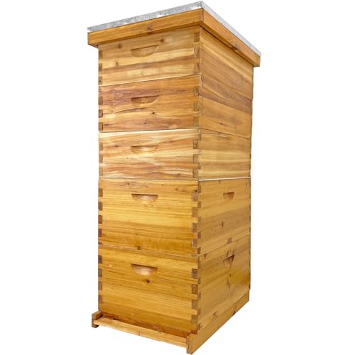 5-Layer Langstroth Beehive Kit: 2 Deep 3 Medium Supers, Wax Coated | Weatherproof 100% Beeswax Timber, Telescoping Metal Top, No Frames Included
