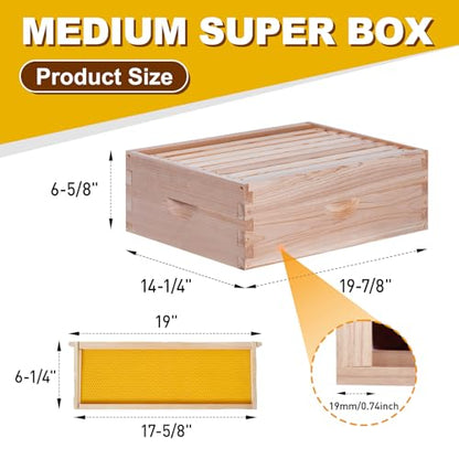BeeCastle 8 Frame Medium Super Bee Hive Box, Langstroth Honey Bee Hive Include Beehive Frames and Waxed Foundations (Unassembled) - size: 8 Frame