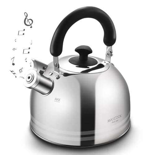 Tea Kettle, 5.7QT 6L Whistling Tea Kettle for Stove Top, 304 Stainless Steel Tea pot, Large Teapot for stovetop, Camping Kettle for Boiling Water (Mirror Polish) - color: Silver Stripe, size: 6.3 Quarts