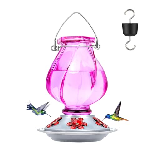Hummingbird Feeder, BOLITE Glass Hummingbird Feeders for Outdoors Hanging, with Ant Moat and Five Feeding Ports, 22 Ounces, Leak Proof, Purple Bottle - color: Ruby Purple