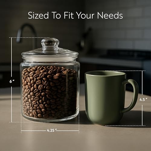 Restaurantware Vetri 0.2 Gallon Glass Storage Jar 1 Dishwashable Glass Cookie Jar - Airtight Seal Wide Opening Clear Glass Candy Jar Knob Handle Lid For Kitchen Laundry Or Storage - size: 0.2 gal
