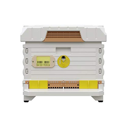 Apimaye Ergo Insulated 10 Frame Bee Hive Set [NO Frames Included] (Single Hive, White Body Yellow Entrance) - color: White Body Yellow Entrance