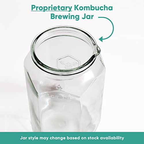 Craft A Brew Home Brewing Starter Kit Kombucha Tea Kit – Home Kombucha Kit – Fermentation Starter with Kombucha SCOBY – 1 Gallon - color: Starter Kit