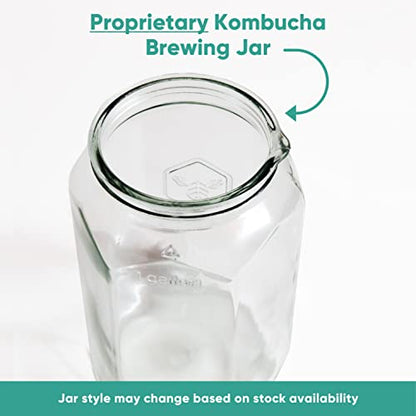 Craft A Brew - Kombucha Deluxe Starter Kit - For Home Brewing - Includes Kombucha Kit and SCOBY, plus 8 16oz Reusable Kombucha Bottles, Stainless Funnel and Strainer, and PH test Strips - color: Deluxe Kit