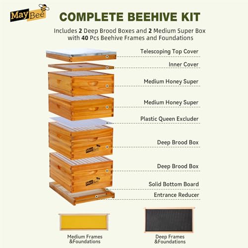 MayBee 10-Frame Langstroth Beehive Dipped in 100% Beeswax, Complete Bee Hives and Supplies Starter Kit Includes 2 Deep Hive Bee Box and 2 Bee Hive Super with Beehive Frames and Foundation