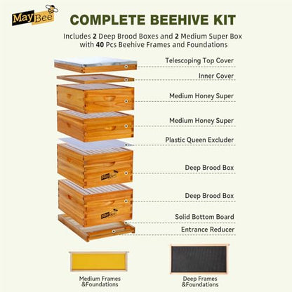 MayBee 10-Frame Langstroth Beehive Dipped in 100% Beeswax, Complete Bee Hives and Supplies Starter Kit Includes 2 Deep Hive Bee Box and 2 Bee Hive Super with Beehive Frames and Foundation