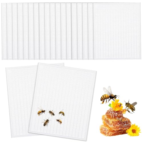 Rtteri 20 Packs 10 Frame Plastic Queen Excluder Beekeeping Queen Excluders Bee Supply Queen Excluder Fits 10 Frame Langstroth Beehives Beekeeping Supplies Kit Tools for All Beekeeping Levels (White) - color: White