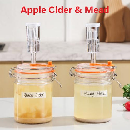 JILLMO Fermentation Jar, 700ml Fermenting Kit with Fermentation Weights and Airlocks, Pack of 2 - size: 700 ML