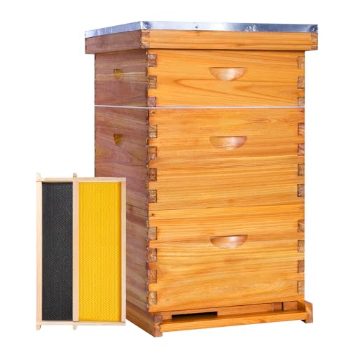 Honey Lake 10-Frame Beehive Boxes Starter Kit for Beekeepers Dipped in Beeswax, Complete Langstroth Bee Hive Kit Includes 2 Deep Brood Boxes, 1 Medium Super Box, Beehive Frames & Waxed Foundations
