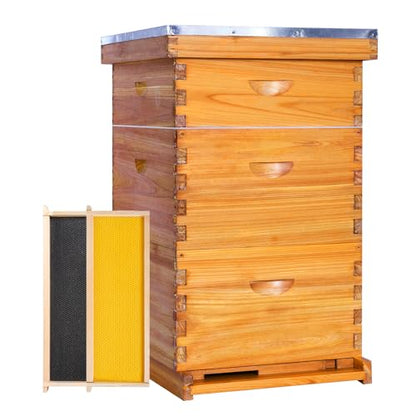 Honey Lake 10-Frame Beehive Boxes Starter Kit for Beekeepers Dipped in Beeswax, Complete Langstroth Bee Hive Kit Includes 2 Deep Brood Boxes, 1 Medium Super Box, Beehive Frames & Waxed Foundations