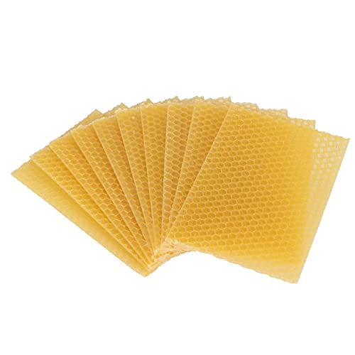 5 . 1x3 . 5in Beeswax Sheets Beeswax Frame , 10Pcs Beehive Wax Frames , Waxed for Beekeeping Supplies , 10Pcs Beehive Wax Frames , 5 . 1x3 . 5in Beeswax Sheets beekeeping base beeswax