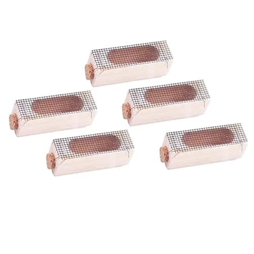 Queen Bee Cage 20x Wooden Cage Moving Beekeeping Equipment for Queen Rearing Beekeeping for Beekeeping Supplies