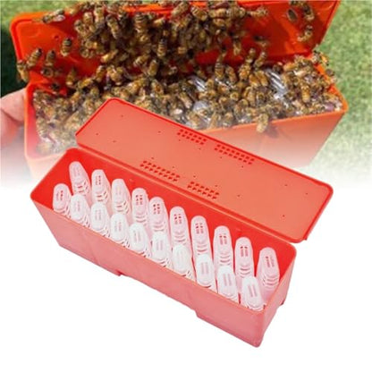 Queen Bee Cage 2sets Queen Bee Transport Cage Queen Bees Shipping Carton Queen Rearing Incubator Bee Moving Isolator Protection Case Beekeeping Tools for Beekeeping Supplies