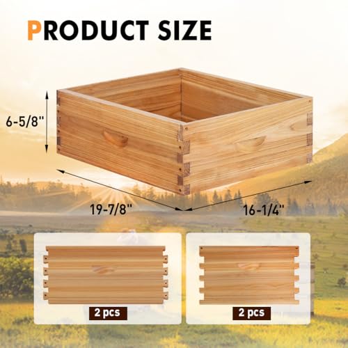 10 Frame Medium Super Beehive Box Wax Coated Bee Hives Includes Beehive Frames and Waxed Foundations (Unassembled) - size: Medium super box