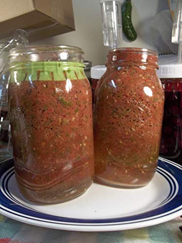 6 Pickle Pusher Fermentation Weight Replacements Only. Replaces Old Fashioned Weights, Performs 10X Better!