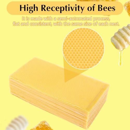 30PCS Honeycomb Bee Wax Foundation, Beehive Wax Frames Waxing Beekeeping Equipment Tool Honey Bee Hive Tool 7.7x16.3"
