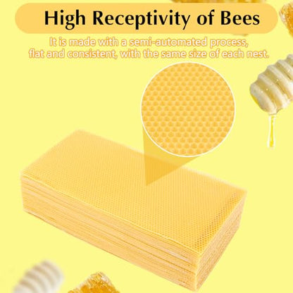 30PCS Honeycomb Bee Wax Foundation, Beehive Wax Frames Waxing Beekeeping Equipment Tool Honey Bee Hive Tool 7.7x16.3"