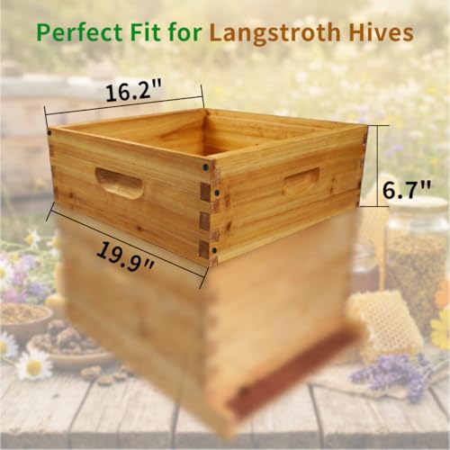 Unassembled 10-Frame Medium Beehive Box with Beeswax Dip - Standard Langstroth Super Box, Beekeeping Hive Parts (No Frames/Foundations), 19-7/8" L x 16-1/4" W