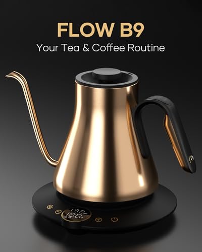 Cocinare Gooseneck Electric Kettle, ±1°F Precise Temperature Control, 1500W Fast Heating, Pour Over Coffee & Tea Kettle with Brew Timer & Keep Warm, Stainless Steel, 0.9L (Gustav Gold) - color: Gustav Gold