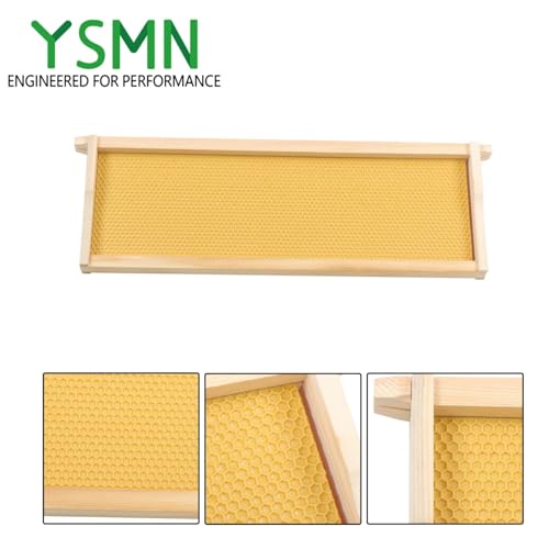 8 Frame Langstroth Bee Hive Coated with Beeswax Includes Beehive Frames and Waxed Foundations (2 Deep Boxes 2 Medium Boxes)