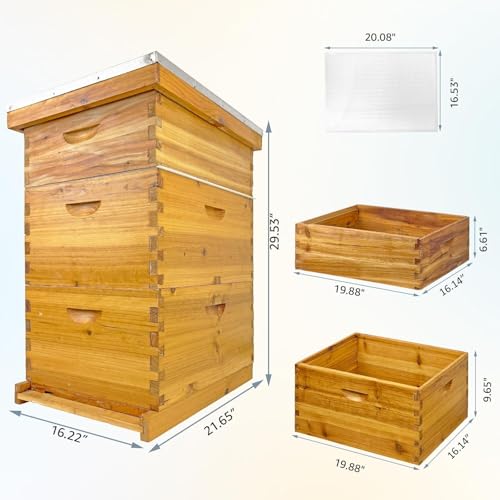 Langstroth Bee Hive with Beeswax Includes Beehive and Waxed Foundations Includes 2 Deep Bee Boxes, 1 Medium Bee Hive Super for Beginners (3-Layer)