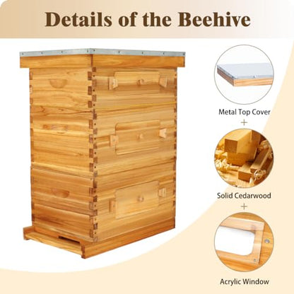 BeeCastle 10-Frame Langstroth Beehive with Windows, Beeswaxed Coated Bee Hive for Beginners with Beehive Frames and Waxed Foundations (2 Deep Bee Boxes & 1 Medium Super Bee Box) - size: 2 Deep & 1 Medium Boxes