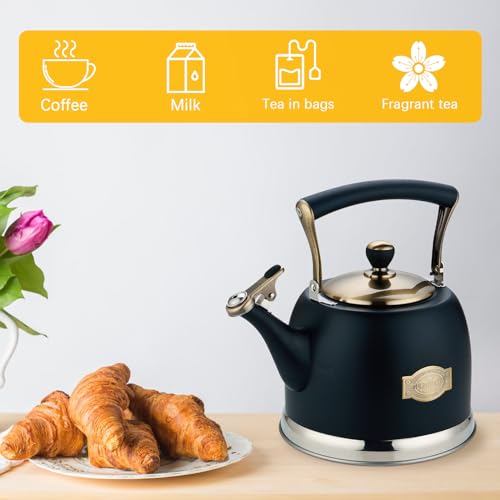 Tea Kettle Stainless Steel Teapot, Stainless Steel Teakettle for Stove Top with Heat Proof Ergonomic Handle 3.0 Quart - color: Black, size: 3 Quarts