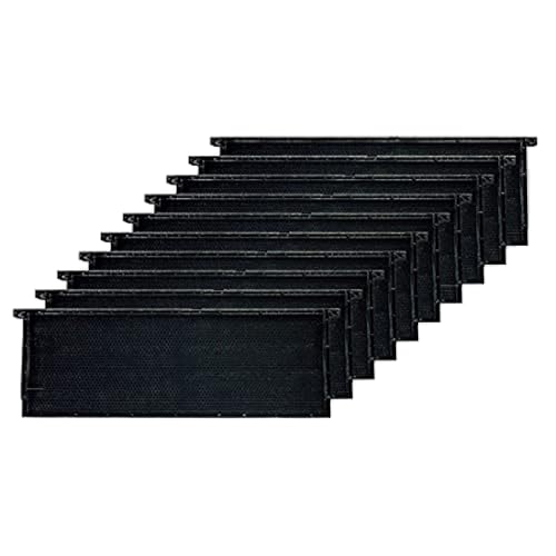 Mann Lake Premium Beekeeping Frames, All-In-One Frame & Foundation, Beeswax Coating, Universal Fit, BPA & BPS Free, 6 1/4 Inches, Black, 10-Pack - color: Black