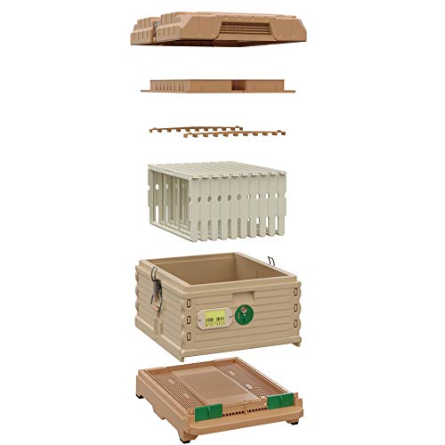 Apimaye Ergo Insulated Bee Hive Set with Plastic PRO Frames with Premier Double Wax Foundations (Single Deep) (Tan Body Green Entrance)