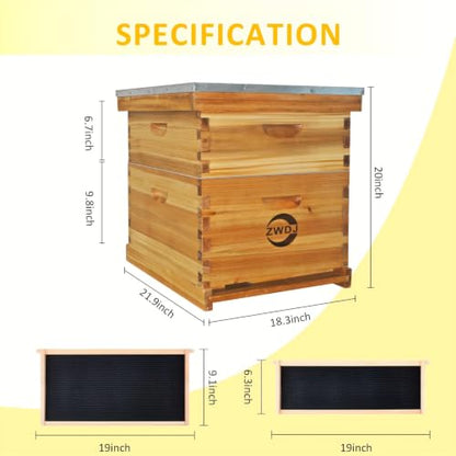 10-Frame Complete Beehive Kit, 2-Layer Langstroth Beehive with Full Beeswax-Coated Foundation Sheet, Complete Starter Beekeeping Kit for Beginners & Professional Beekeepers (2-Layer) - size: 2-Layer
