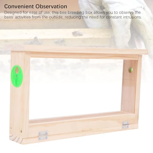 Beekeeping Box Double-Sided Acrylic Bee Observation Box with Vents, Designed for Beekeeping