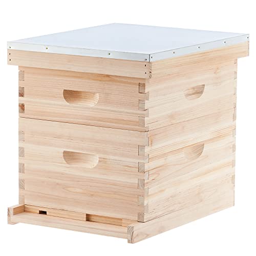 CREWORKS Bee Hive Boxes 10 Frame Langstroth Beehive, Bee Keeping Starter Kit Includes 1 Super Bee Box & 1 Bee Brood Box with Beehive Frames and Foundation, 2 Layers Complete Bee Hive Kit - style: 2 Layer