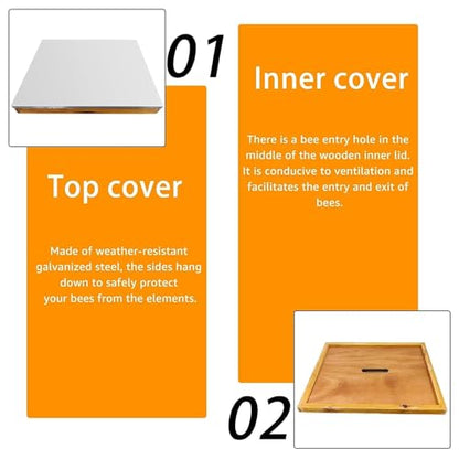 5 Layer Langstroth Beehive Dipped in 100% Beeswax Coated Bee Hive Includes 2 Deep Hive Bee Box & 3 Super Bee Hive Without Frames
