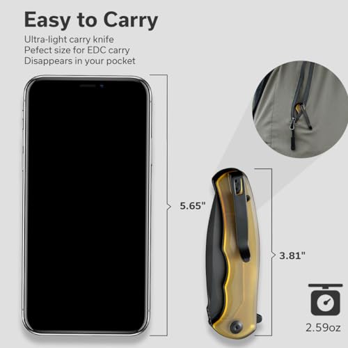 CIVIVI Mini Praxis Pocket Knife for EDC, Folding Pocket Knife with 2.98" D2 Blade Ultem Handle with Flipper for Men Women C18026C-5 - color: Matte Amber