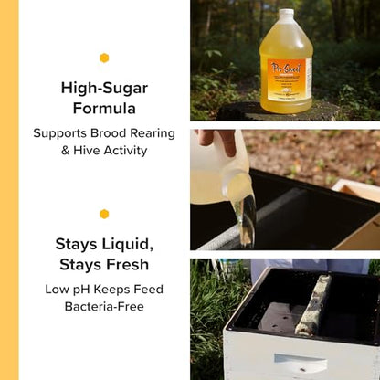 Mann Lake Pro-Sweet Liquid Feed, Natural Supplemental Feed for Bees, Ready-to-Use Nectar Alternative, Formula for Optimal Nutrition & Hive Weight, 1 Gallon, Made in USA - size: 128 Fl Oz (Pack of 1)