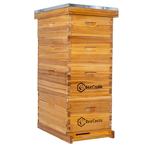 BeeCastle 8 Frame Langstroth Bee Hive Coated with Beeswax Includes Beehive Frames and Waxed Foundations (2 Deep Boxes & 2 Medium Boxes)