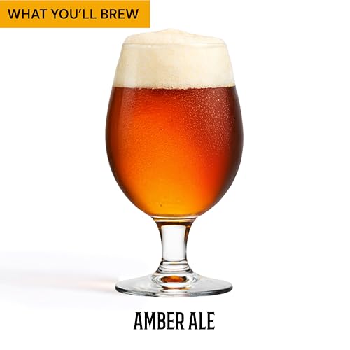 Craft a Brew - Beer Recipe Kit - Fat Friar Amber Ale - Home Brewing Ingredient Refill - Beer Making Supplies - Includes Hops, Yeast, Malts, Extracts - 5 Gallons - color: Fat Friar Amber Ale