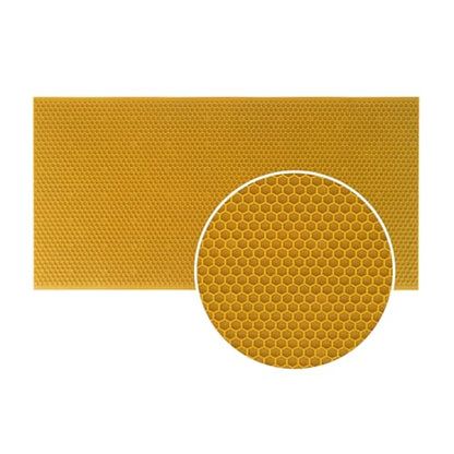 Beehive Waxed Coated Foundation Sheet 20pcs Deep Foundation 8-1/2-Inch Bee Waxed Foundation Sheets for Bee Frame for Beekeeping Supply (8-1/2-Inch) - size: 8-1/2-Inch