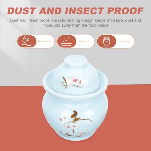 ABOOFAN Ceramic Chinese Pickle Jar with Double Lids 2.5l Blue Plum Pattern Sealed Fermenting Crock for Kimchi Sauerkraut Vegetable Storage Kitchen Use