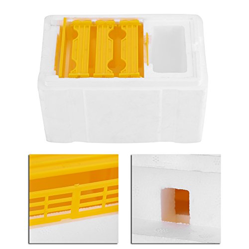 Bee Mating Hive Case Box, Beekeeping Queen Breeding Box with Water Feede, Rearing Beehive Harvest Beekeeping King Pollination Box, hive Beekeeper Supplies Reserve Tool