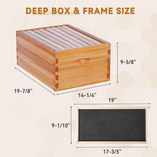 POLLIBEE 8 Frame Deep Brood Bee Hive Box Dipped in 100% Beeswax,Beehive Box for Bee Keeper, Include Beehive Frames and Wax Foundation(unassembled) - size: 8 Frame Deep Box