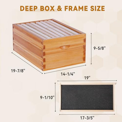 POLLIBEE 8 Frame Deep Brood Bee Hive Box Dipped in 100% Beeswax,Beehive Box for Bee Keeper, Include Beehive Frames and Wax Foundation(unassembled) - size: 8 Frame Deep Box