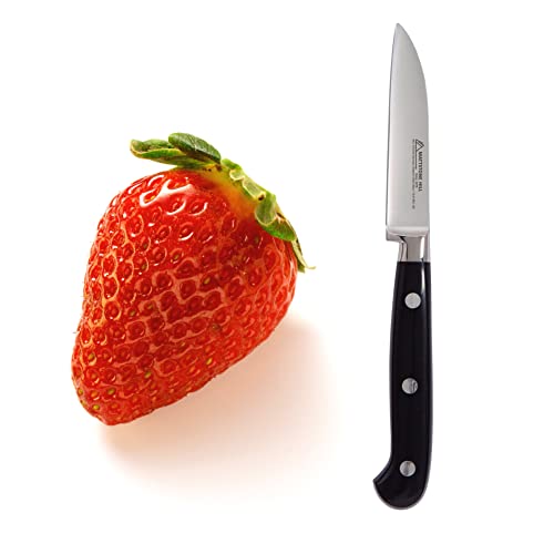 Paring Knife, MATTSTONE HILL 3.15" Small Kitchen Knife, Peeling Knife - German Steel, Triple Rivet Handle - size: 3.2"
