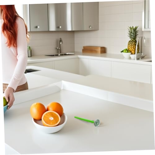 Stainless Steel Meat Probe Thermometer Oven Safe Instant Read for Cooking Kitchen Thermometer Cheese Making Tool