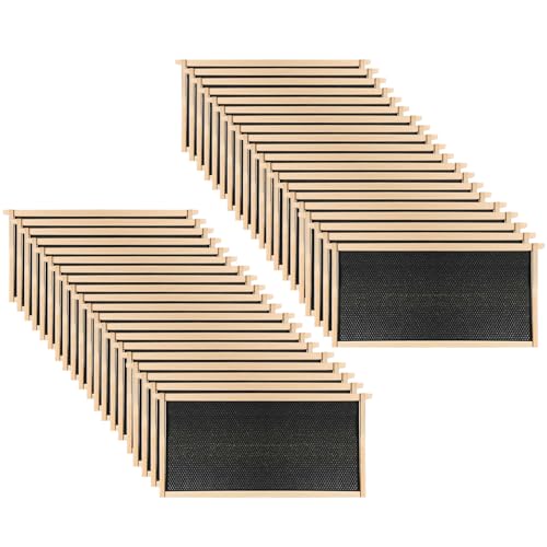 Yuntau 40 Pack Deep Beehive Frames and Foundations Beeswax Coated Food Grade Sheets Cedar Wood Unassembled Frames for Langstroth Deep Brood Boxes Easy to Assemble(Black,19 x 17.6 x 9.1 Inches) - color: Black, size: 19 x 17.6 x 9.1 Inches