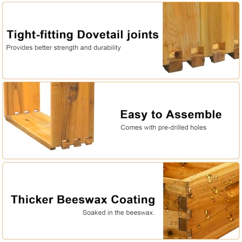 Coated Bee Hive Starter Kit, 5-Layer Langstroth Beehive & 2 Deep and 3 Medium Super Boxes, Premium 10-Frame Wood Honey Bee House with Waterproof Metal Top Cover & Queen Excluder, No Frames