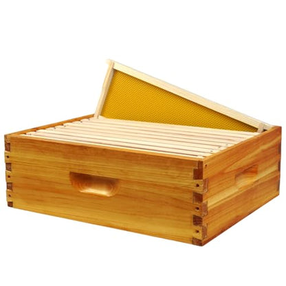 10 Frame Langstroth Medium Super Box Dipped in Beeswax, Bee Hive Box Sections of Wood for Beehives Include Beehive Frames and Wax Foundations(Yellow Unassembled) - size: Medium 10pack